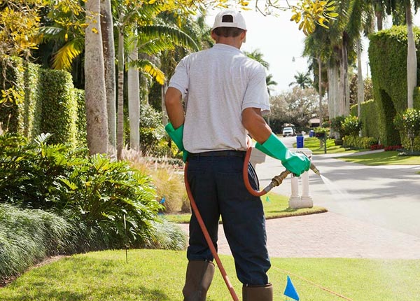 About Platteville CO Pest Control